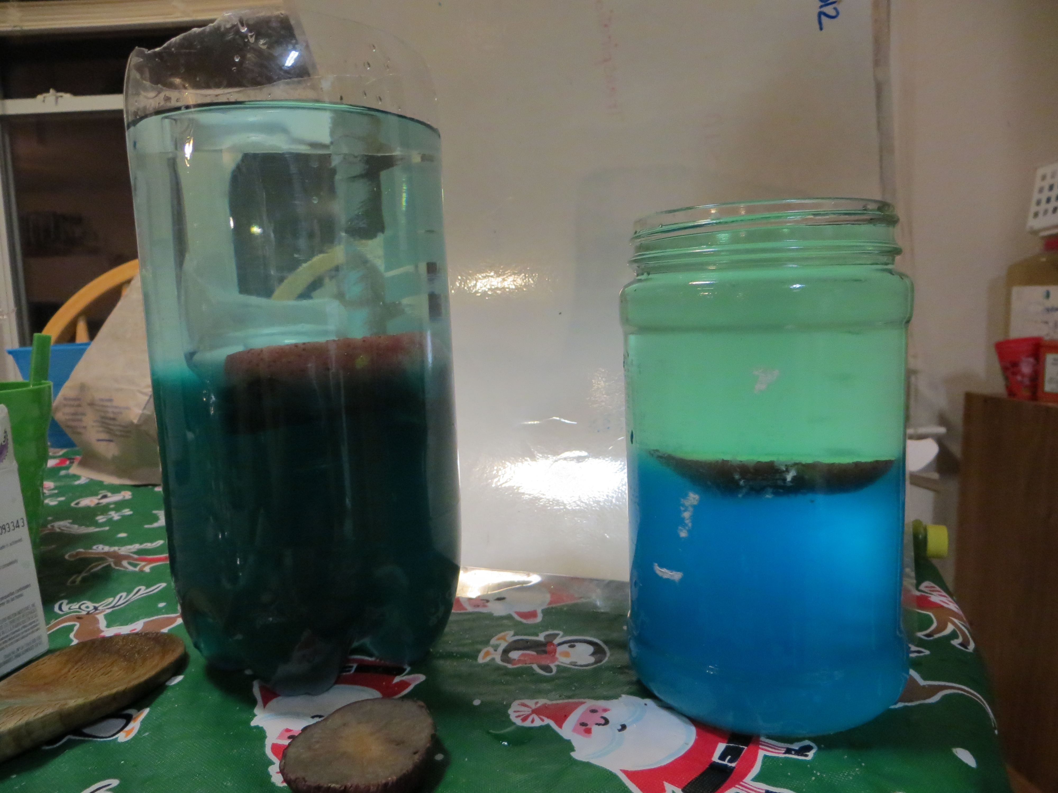 http://basil2.homeip.net/~Megan/School/kindergarten/Saltwaterfish1/image.jpg