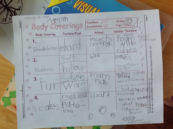 Body coverings.jpg