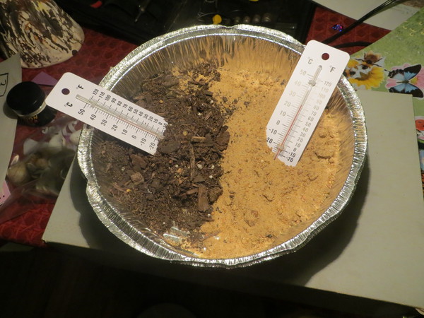sandanddirttemp1.JPG