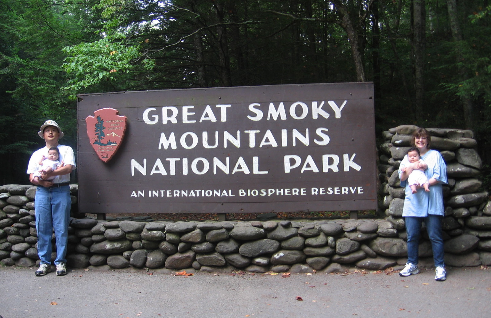 GreatSmokyMtnNationa#9513E.jpg