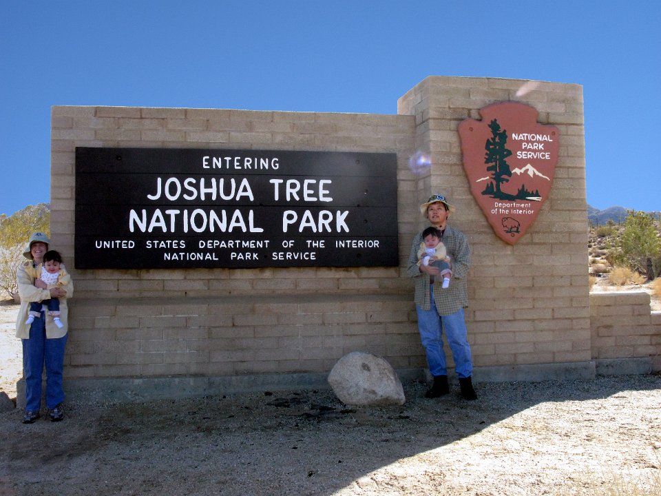 JoshuaTreeSignComposite