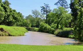 IMG_1855 Chocolate Bayou, Camp Mohawk County Park, Alvin, TX