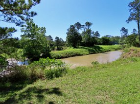 IMG_1866 Chocolate Bayou, Camp Mohawk County Park, Alvin, TX