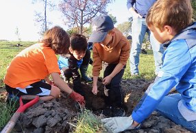 IMG_7548 Clearing Dirt out of the Hole, Exploration Green, Houston, TX