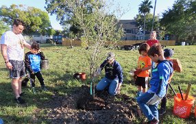 IMG_7558 Tree successfully placed in hole, Exploration Green, Houston, TX