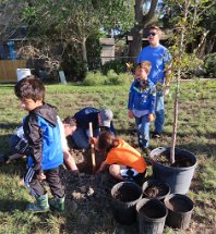 IMG_7580 Measuring hole for a Cedar Elm, Driving a T-stake, Exploration Green, Houston, TX