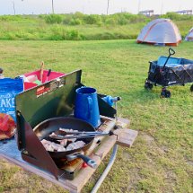 IMG_0784 more Bacon, Galveston Island State Park, TX