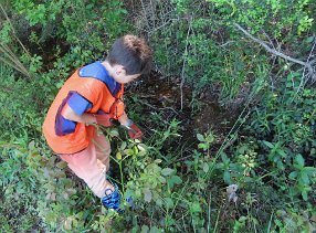 IMG_9406 Picking up trash, Evelyn Meador Library, Seabrook, TX