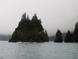 IMG 1067  island, Resurrection Bay, AK