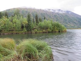 IMG 7714  Tern Lake, Moose Pass, AK