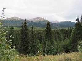 IMG 7718  Sterling Highway overlook, Cooper Landing, AK