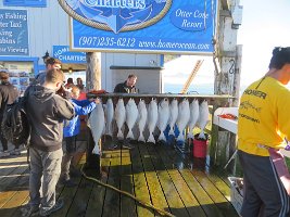 IMG 1939  Halibut, Homer Spit, AK