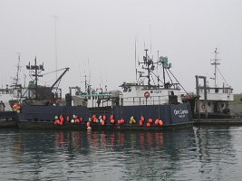 IMG 7932  Cape Caution of "The Deadliest Catch" fame, Homer, AK