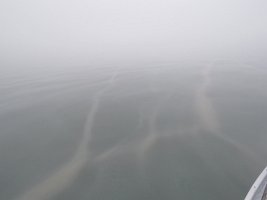 IMG 8157  Ribbons of Glacier Silt, Kachemak Bay, AK