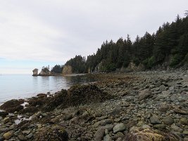 IMG 8332  Inner beach, Seldovia, AK