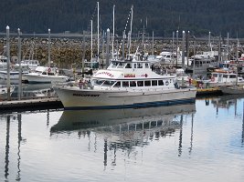 IMG 8350  Discovery, Seldovia, AK