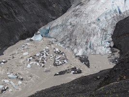 IMG 7477  Toe fo Exit Glacier, Kenai Fjords National Park