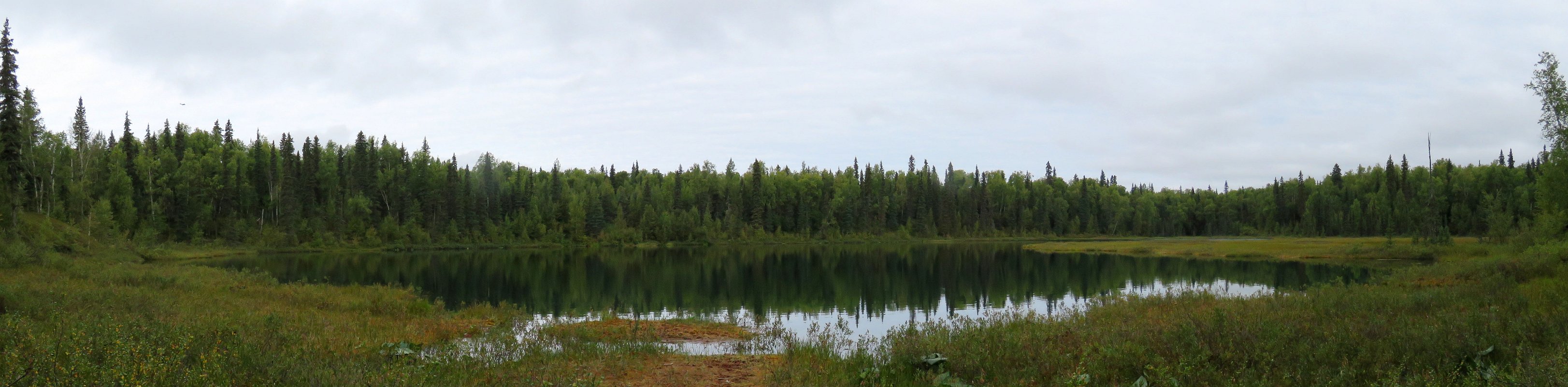 TalkeetnaLakes-Lake