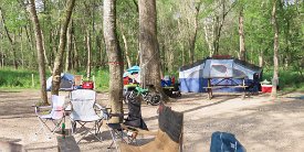 IMG_0568 Youth Group 3 Site, Brazos Bend State Park, TX