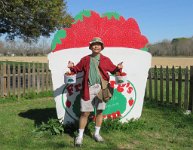 IMG 7116  Two of the Three Buckets of Strawberries, Froberg's Farm, Alvin, TX