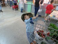 IMG 7118  Hanging on the Shopping cart, Froberg's Farm, Alvin, TX