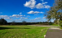 IMG_5248 Overloking Goliad