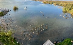 IMG_5778 Panoramic view from observation platform, Leonnabelle Turnbull Birding Center, Port Aransas, Tx