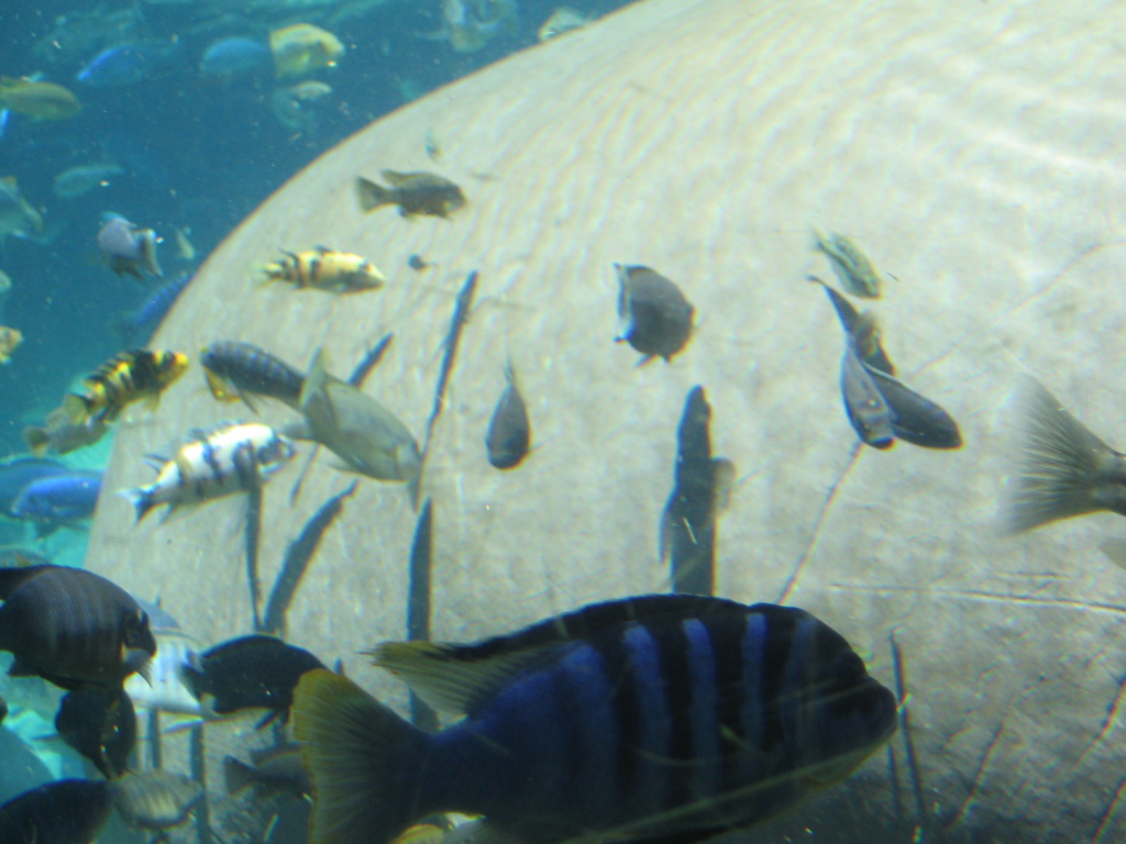 IMG_2212.jpg
