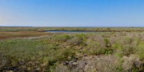 GalvestonIslandSP Panorama