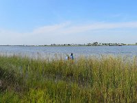 Volunteering at  Sweetwater Preserve