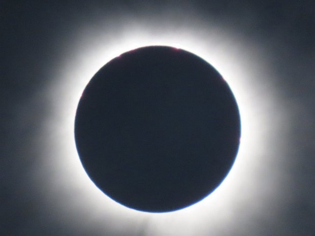Total Solar Eclipse 2024 April 8th 2024 - Total Solar Eclipse, Garland, TX Shot with a Canon PowerShot SX70 HS, 65x Zoom, 16.5 f-Stop Neutral...