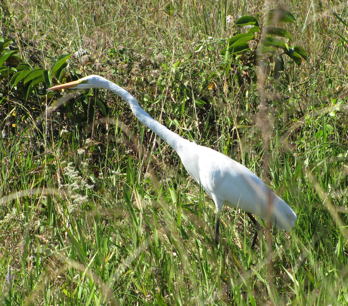 IMG_4770.JPG