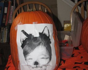 IMG_6441 starting Pumpkin Portrait