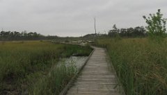 IMG_8596 Boy Scout Road Boardwalk, Big Branch Marsh NWR, LA