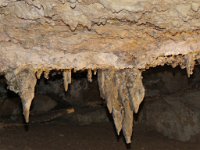 IMG_8518 Rickwood Caverns State Park, AL