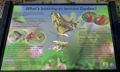 IMG_6789 Jenkins Butterfly Garden, Houston, TX