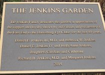 IMG_6817 Jenkins Butterfly Garden, Houston, TX