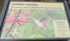 IMG_6824 Jenkins Butterfly Garden, Houston, TX