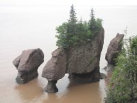 IMG 5198  Hopewell Rocks, The Rocks Provincial Park