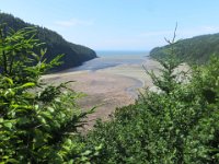 IMG 0064  Wolfe Point River Estuary Low Tide, Fundy National Park