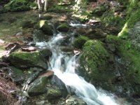 IMG 4970  Dickson Falls, Fundy National Park