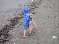 IMG 5108  Gathering materials for Tidal Art Project, Alma Beach, Fundy National Park