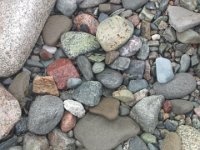 IMG 5113  Color Stones at Alma Beach, Fundy National Park