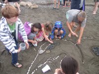 IMG 5134  Filling in the Heron outline, Tidal Art Project, Alma Beach, Fundy National Park