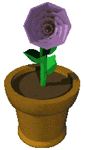 Flower Pot