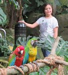 IMG_7217 Megan and Macaws, Rainforest Pyramid, Moody Gardens, Galveston, TX