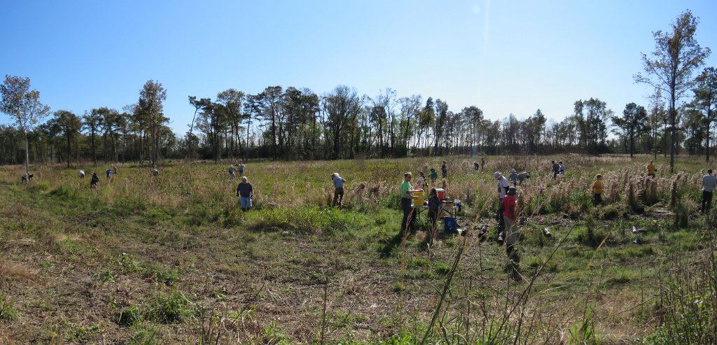 PrairiePlantingSheldonLakeSP