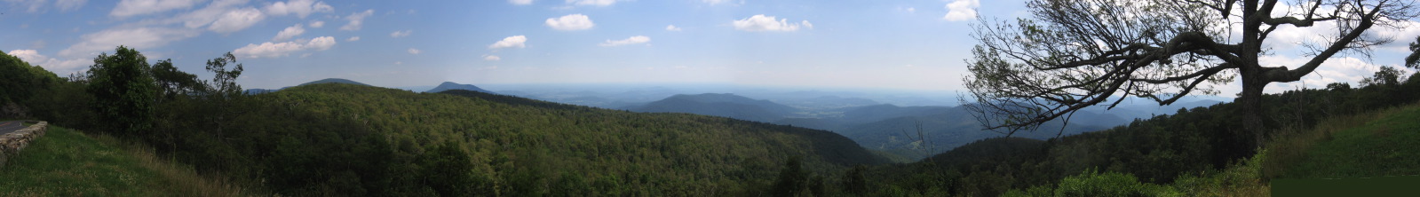 ShenandoahNPLittleDe#8FDAC.jpg