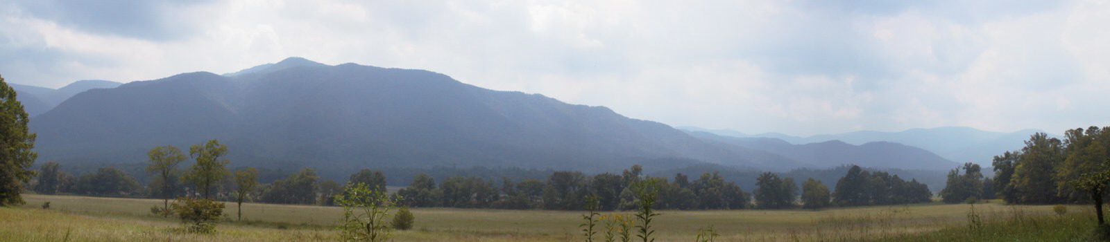 cadescove1.jpg