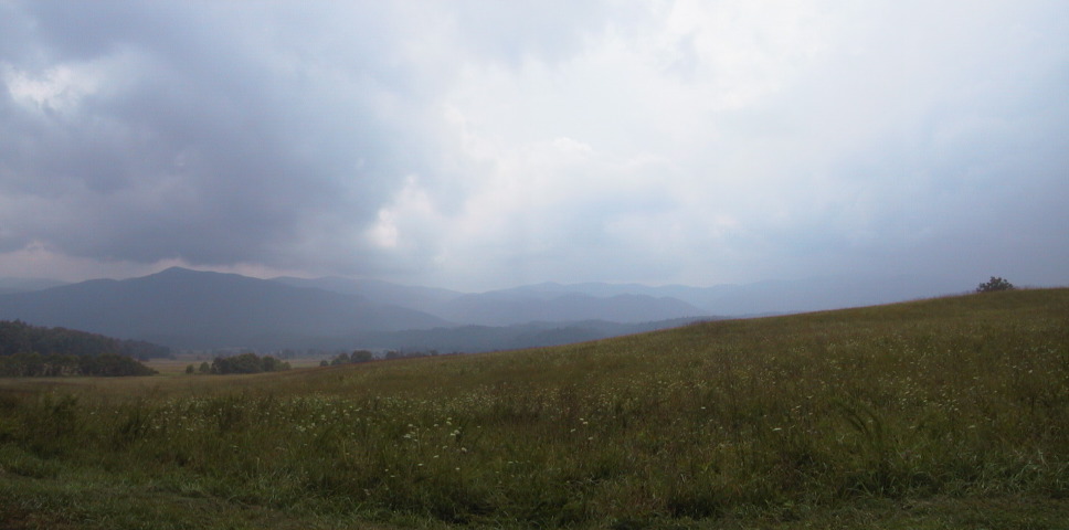 cadescove2.jpg